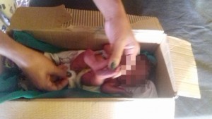 WhatsApp-Image-2017-02-21-at-11.11.36