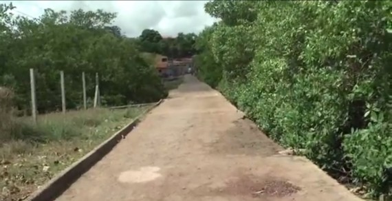 Ponte do Sítio Tamancão