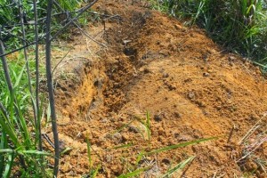 Foto ilustração_ Cova rasa