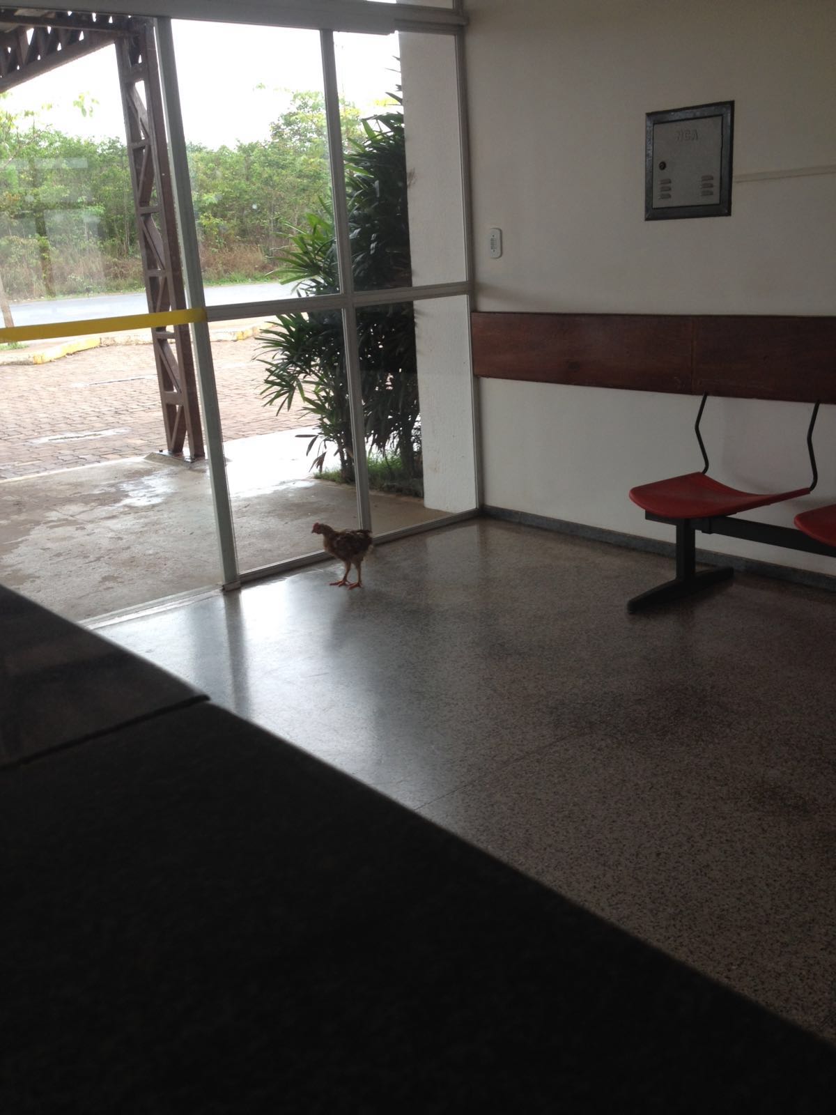 043e59eb13c86d050b4c9eb53a96b064