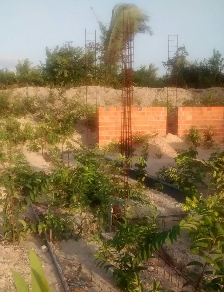 46a8e5a4eaa6780553ecb327086c27ca