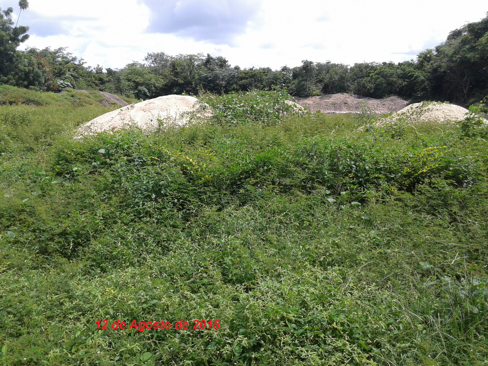 c3e9edf9ace565b8320ae15d54c209d6