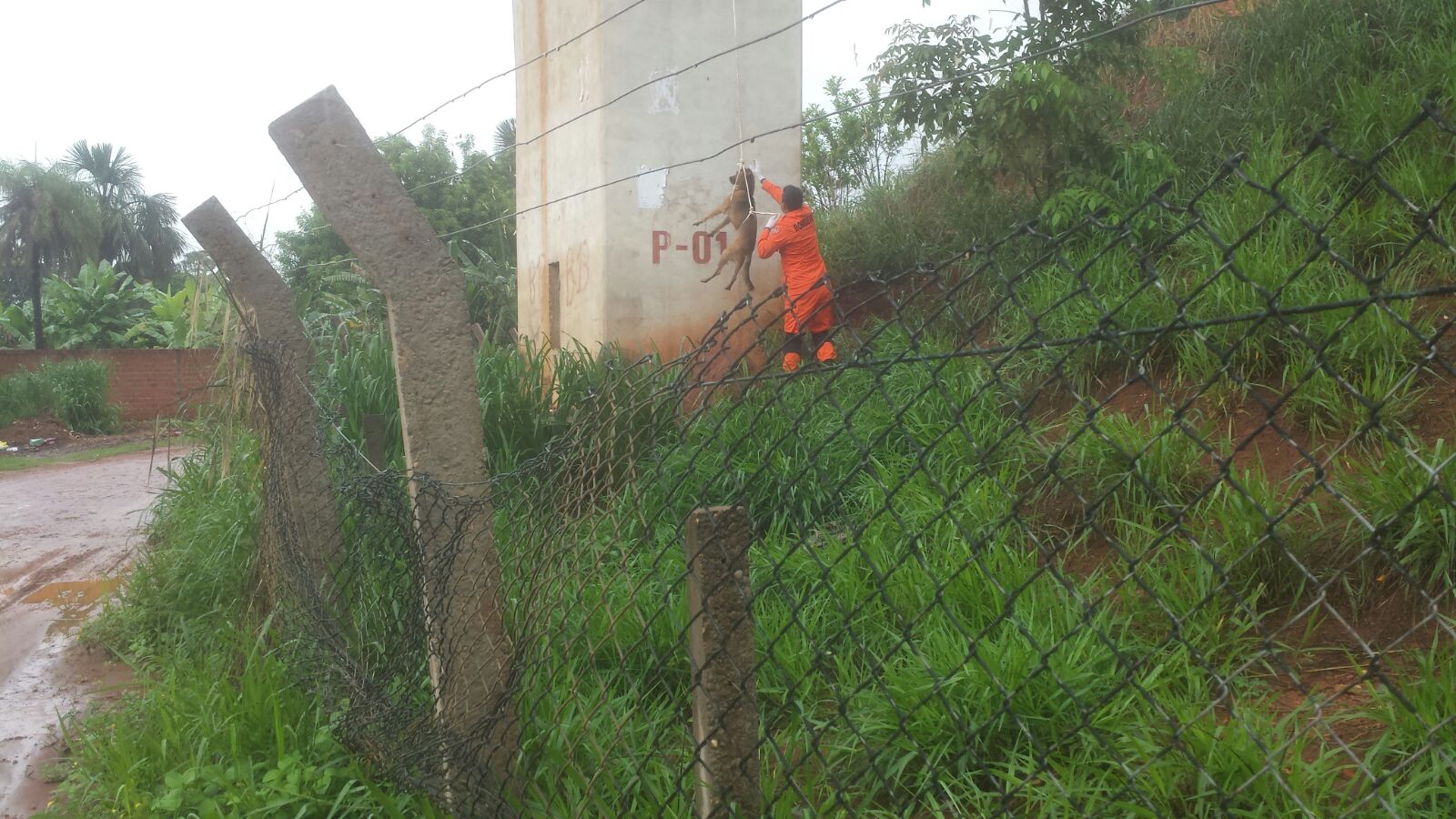 f5c315bbead6979ecea013ece11da3bc