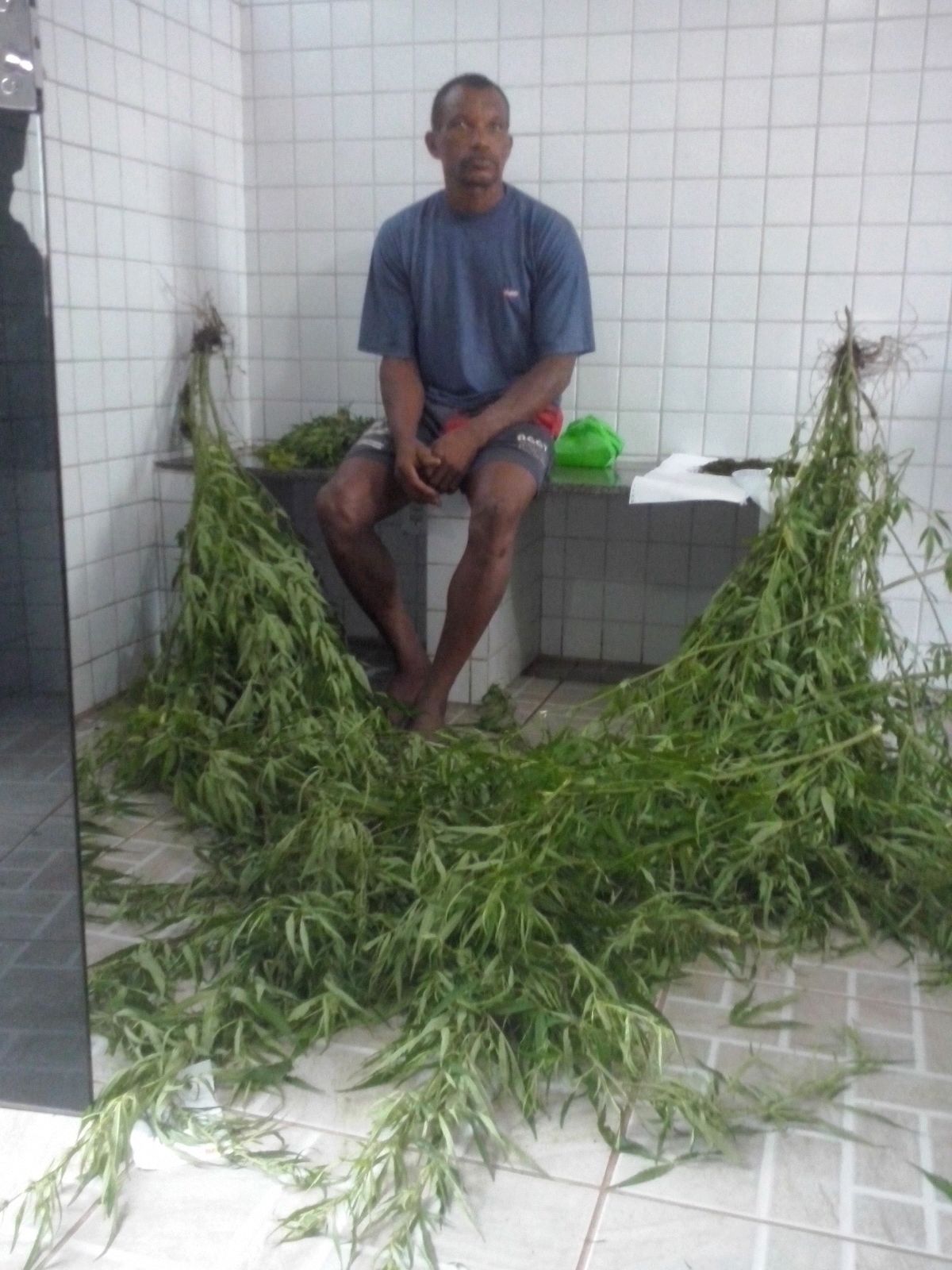 4aa84f8e3e481c06274d23fab883bbd2