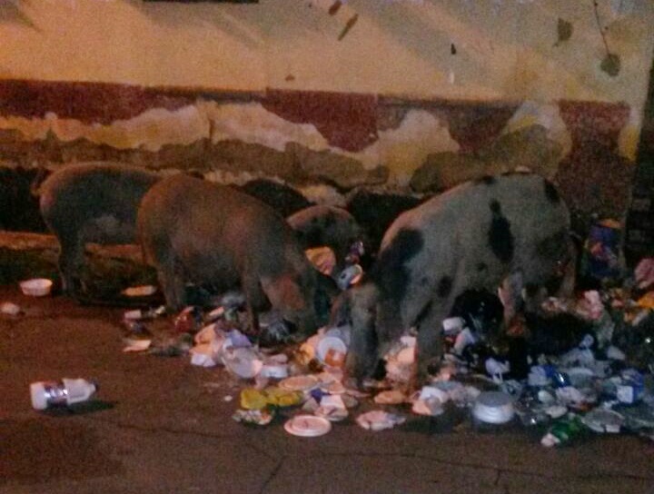 7e846c6c92bc8bccaded52384979304c