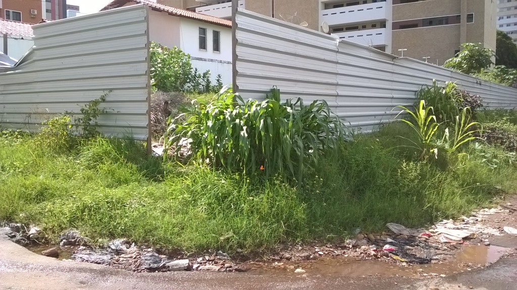 WP_20160305_09_16_55_Pro