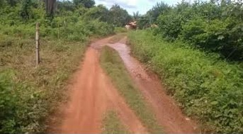 a2775209-2c6b-40a3-97a0-6f2f9d565653