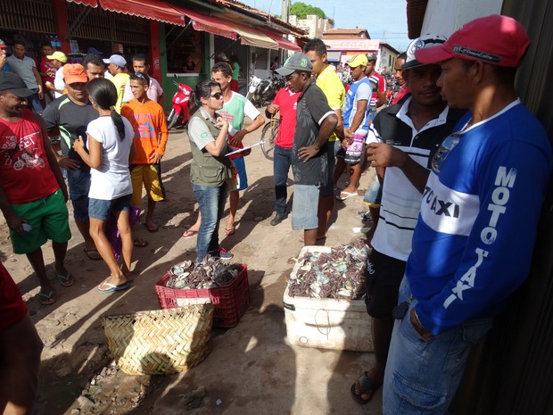 foto1_divulgacao_sema_310316_-_sema_e_ibama_encerram_fiscalizacao_do_periodo_do_defeso_do_caranguejo_uca_no_maranhao