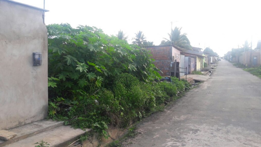 thumbnail_IMG-20160720-WA0098