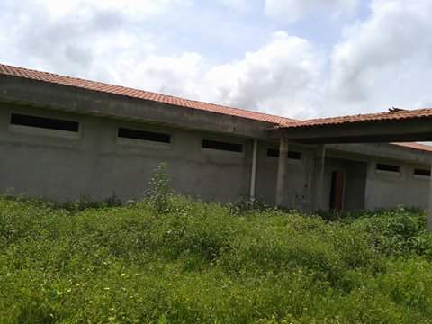 13942690_1705633449698144_16637872_n