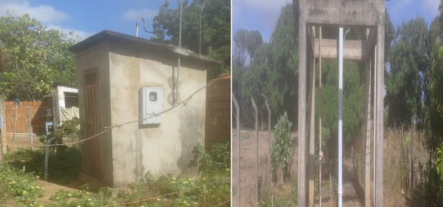 thumbnail_Carnaubeiras 1