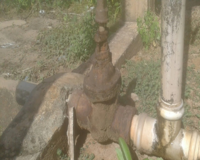 thumbnail_Carnaubeiras 5