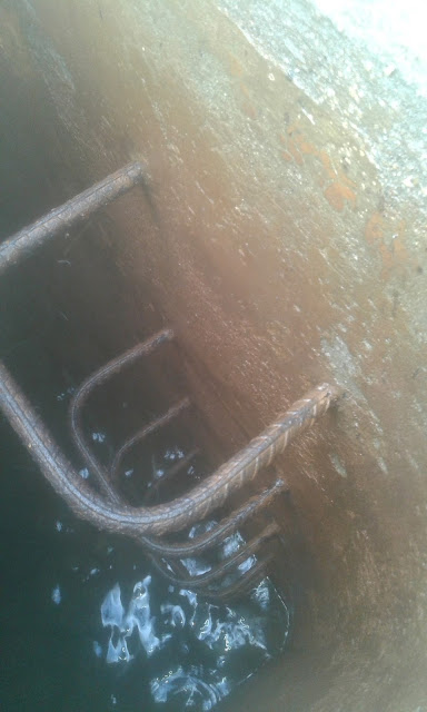 thumbnail_Carnaubeiras 6