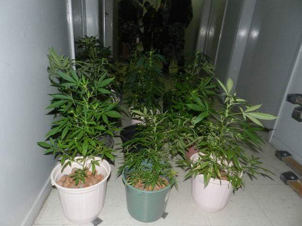 thumbnail_IMG-20160823-WA0079