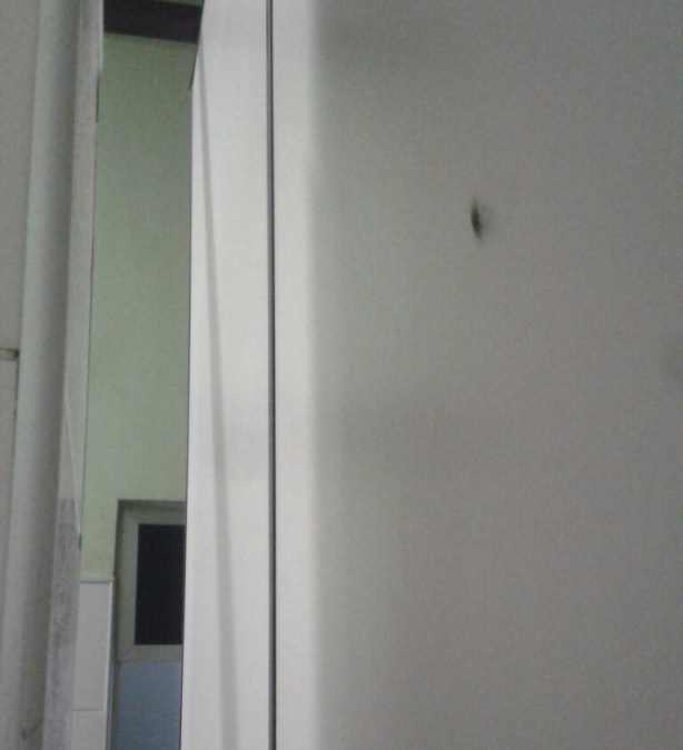 IMG-20160905-WA0002-1-614x1024