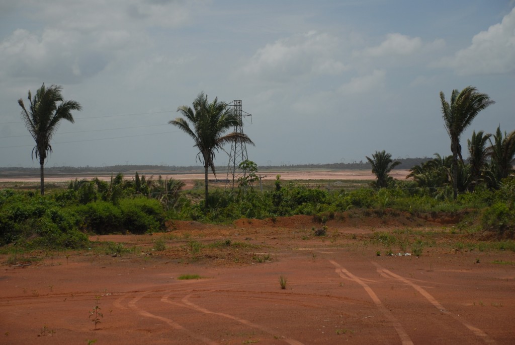 oimppfot230220131327-133689