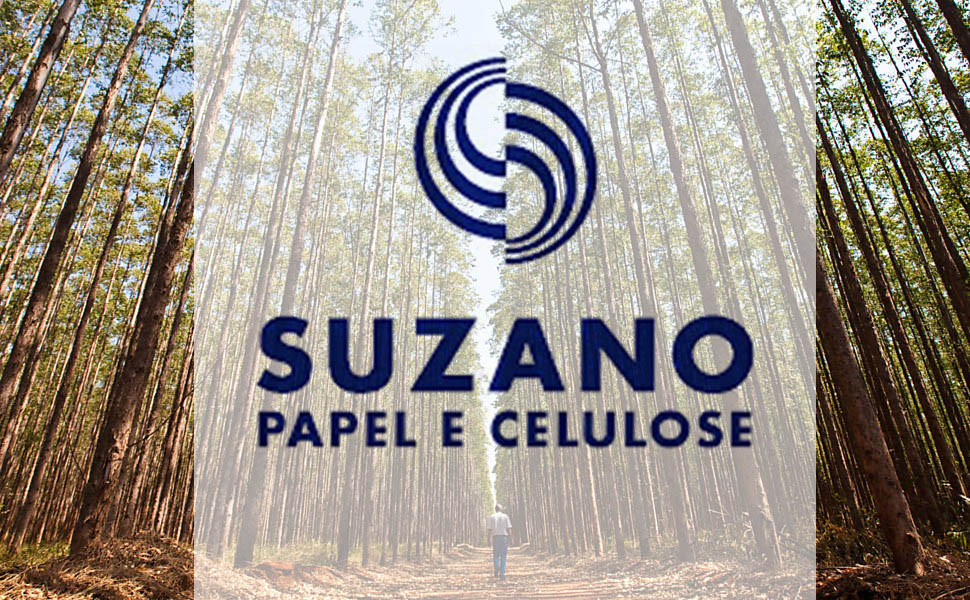 suzano