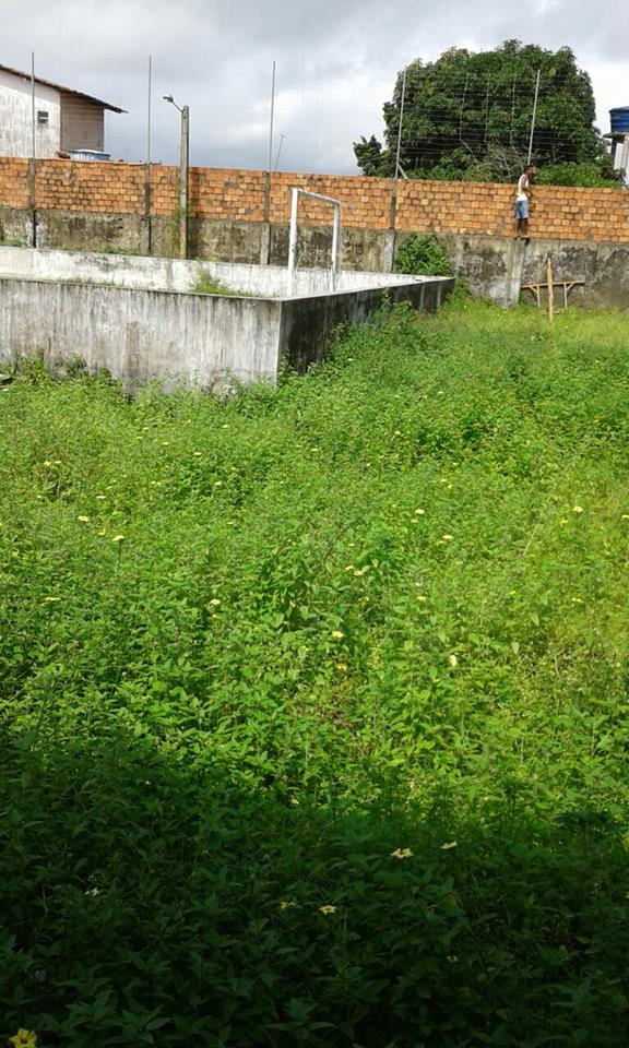 18280117_10212830815353038_437896958_n