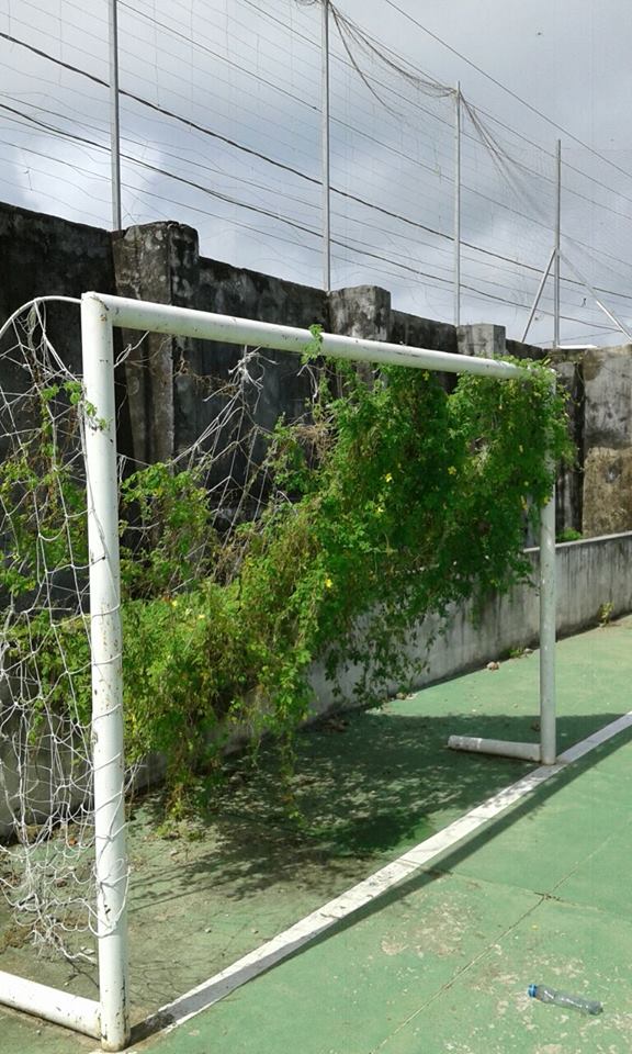 18280710_10212830815433040_918653079_n