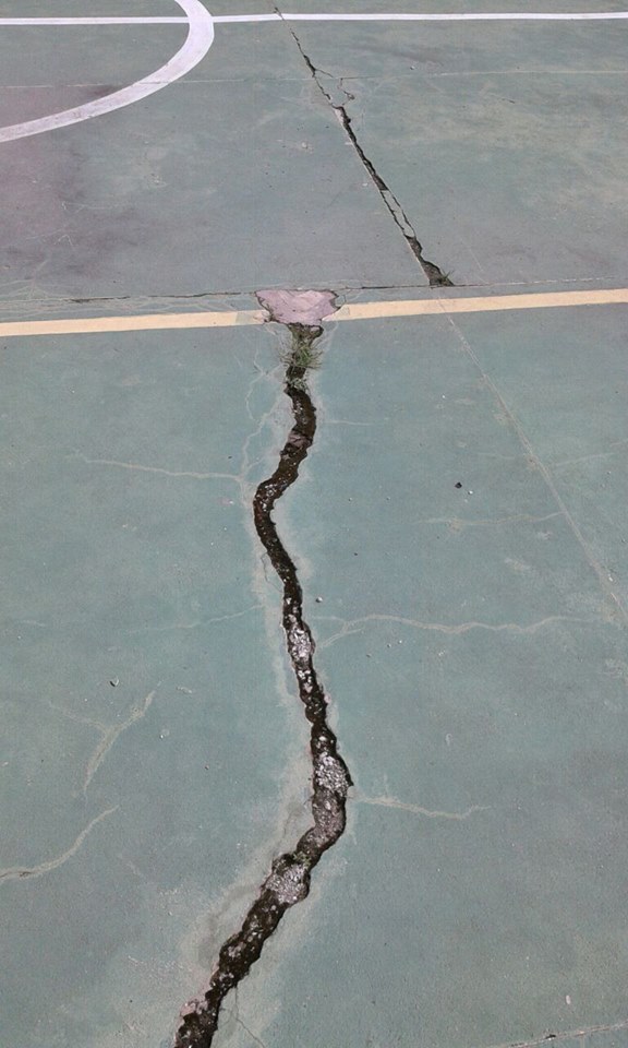 18308641_10212830814993029_1345368124_n