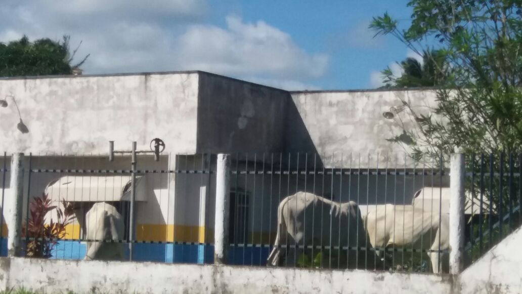 thumbnail_IMG-20170614-WA0010