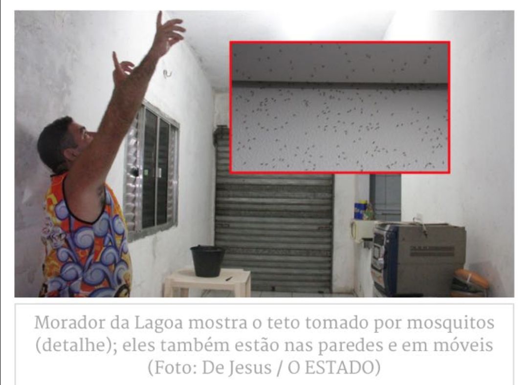 thumbnail_IMG-20170714-WA0017